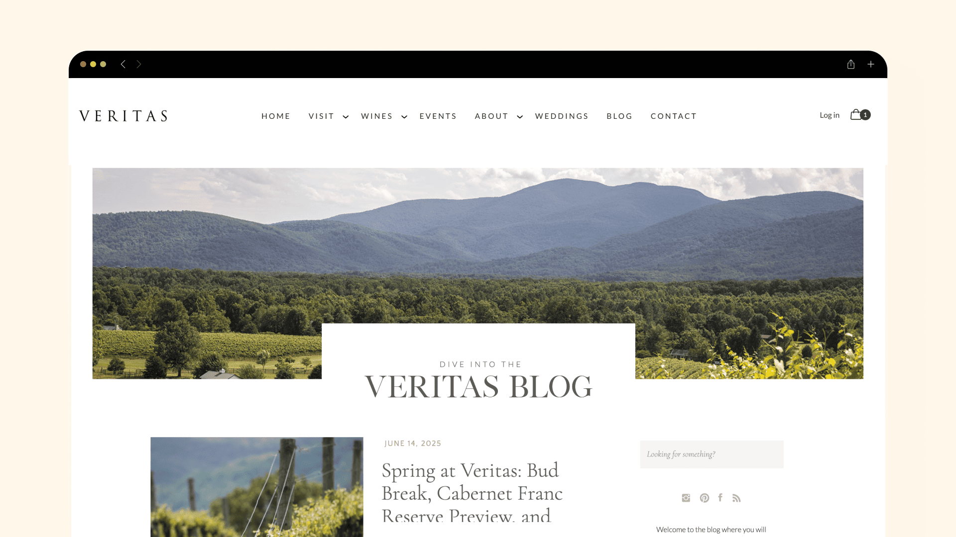 Veritas blog page with mountain landscape photograph and seasonal estate articles
